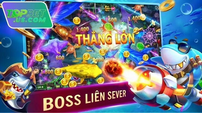 cach-chon-sanh-ban-ca-de-thang